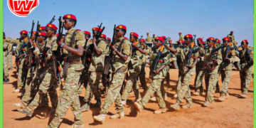 Jubbaland oo ciidamo cusub kusoo bandhigtay gobolka Gedo