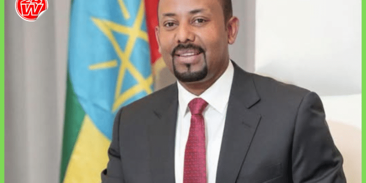 Itoobiya oo ballaarisay wax-soo-saarka iyo adeegsiga diyaaradaha drones-ka