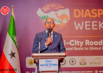 Somaliland oo sheegtay inay dadaal ugu jirto maamulka hawadeeda