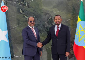 Xasan Sheekh oo Jabuuti iyo Masar u safraya kadib kulankii Abiy