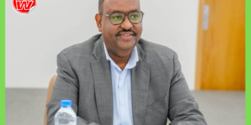 Puntland oo tallaabo sharci ah ka qaadaysa hubka sharci-darrada ah