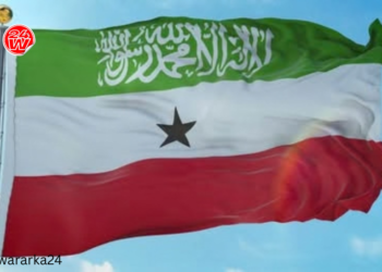 Somaliland oo sheegtay in DF Soomaaliya ay damacsan tahay duullaan ay ku qabsaneyso…