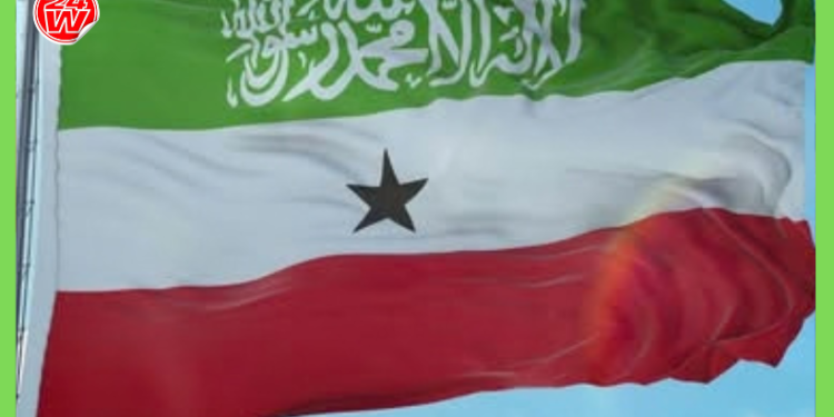 Somaliland oo sheegtay in DF Soomaaliya ay damacsan tahay duullaan ay ku qabsaneyso…