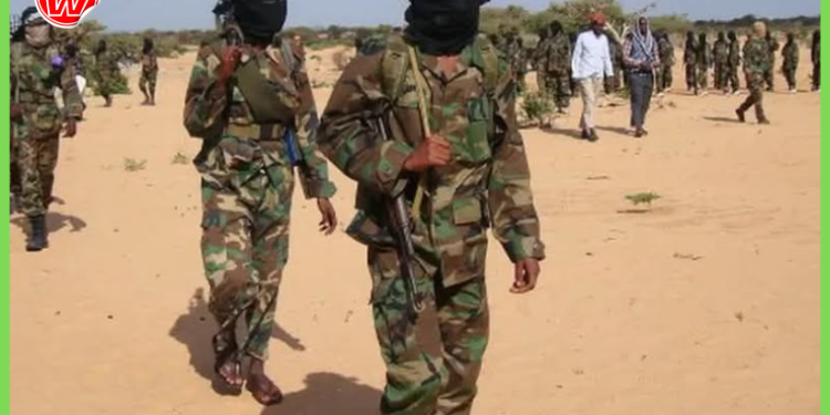 Al-Shabaab oo shacab ku laayay Hiiraan kadib iska horimaad ka dhacay