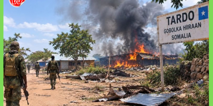 Tardo: Ugu yaraan 7 qof oo ku dhintay dagaal xooggan oo dhexmaray Al-Shabaab iyo Macaawiisley