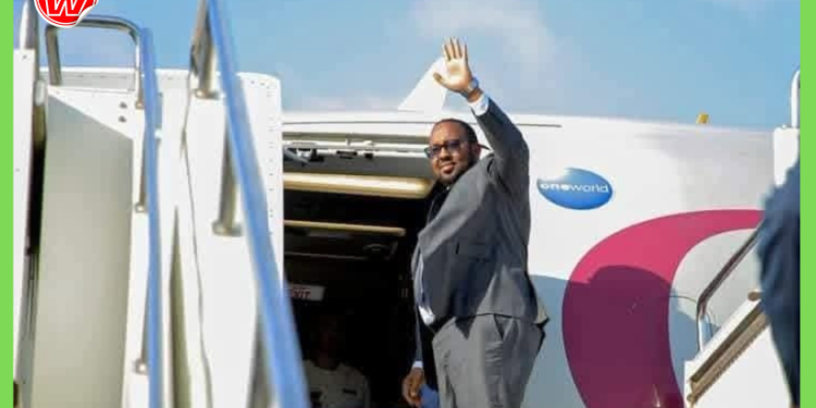 Waqooyi Bari oo beenisay wararka sheegaya in hub lala raacay diyaaraddii Firdhiye