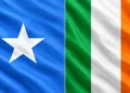 Calanka Soomaaliya iyo calanka Ireland oo dhinac dhinac u taagan, sawir guud oo ku saabsan walaaca 22 carruur Soomaali ah