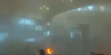 Sacuudiga